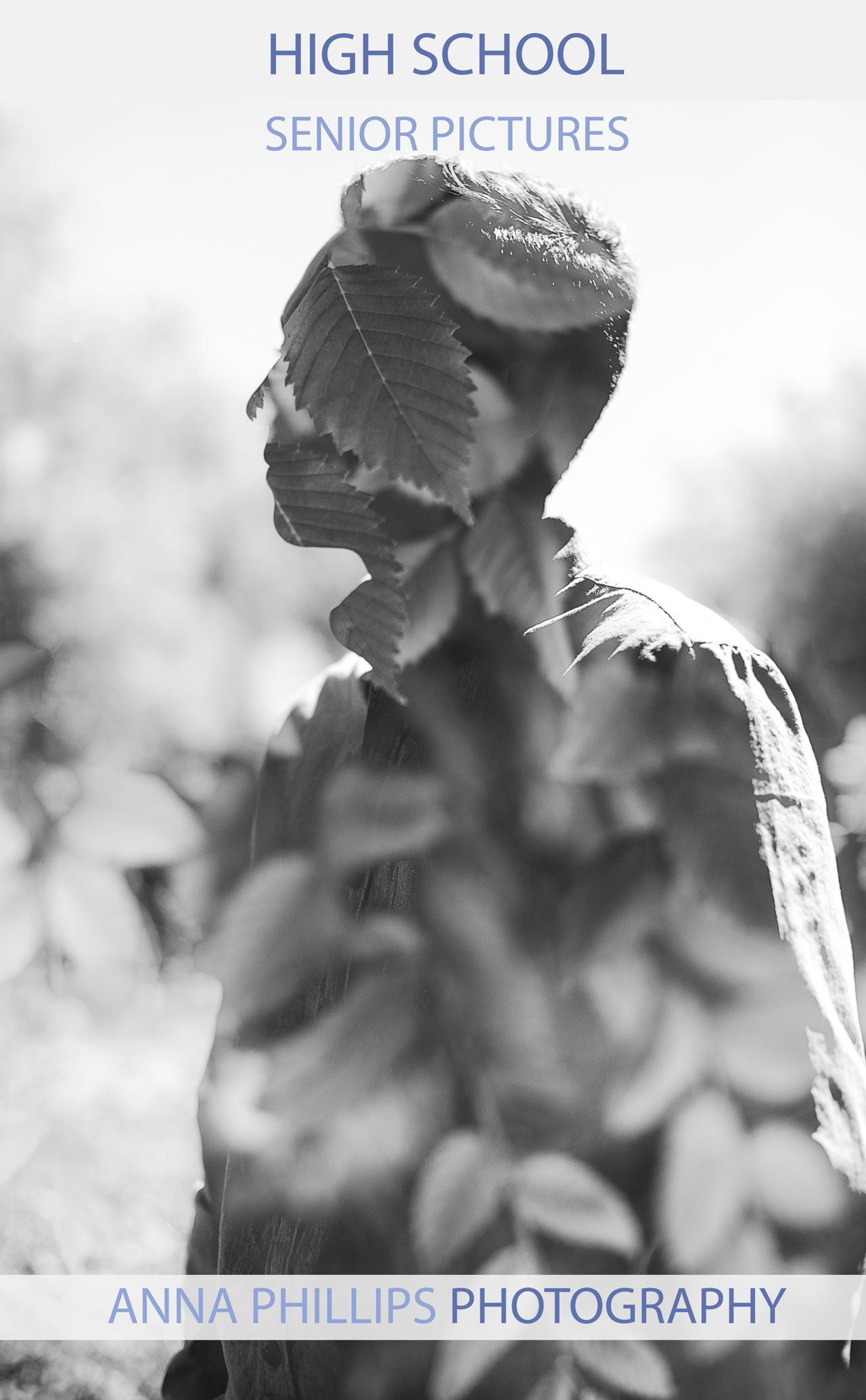 Colorado Photographer